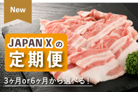 japan x,JAPAN X,ジャパンエックス,定期便はこちら