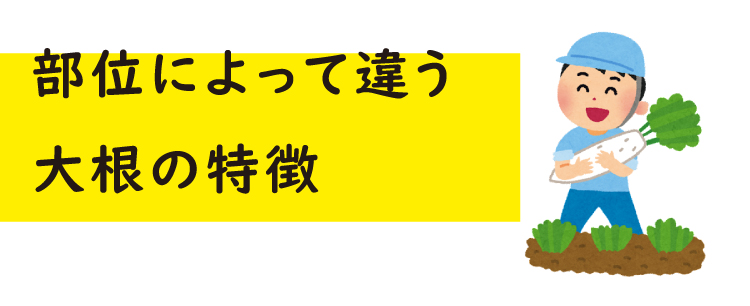 大根おろしでさっぱり食べたい！初秋の豚肉レシピ,豚肉を使ったレシピ,ジャパンエックス,JAPANX,部位によって違う大根の特徴