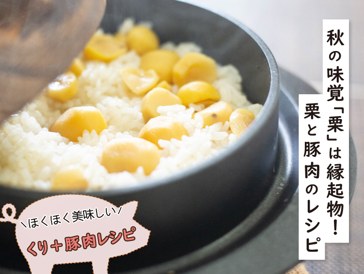 大根おろしでさっぱり食べたい！初秋の豚肉レシピ,豚肉を使ったレシピ,ジャパンエックス,JAPANX