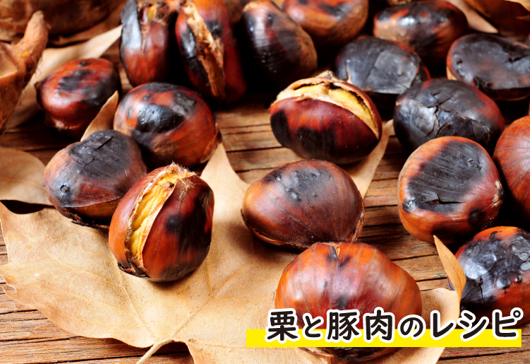 大根おろしでさっぱり食べたい！初秋の豚肉レシピ,豚肉を使ったレシピ,ジャパンエックス,JAPANX,大根おろしでサッパリ 豚肉に合うレシピ