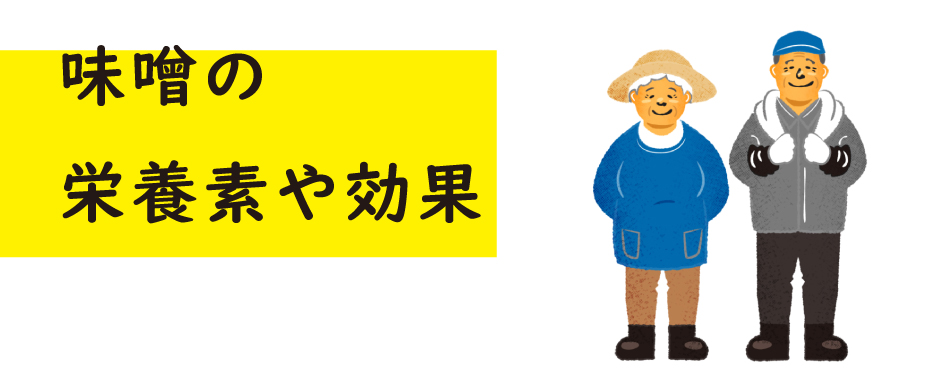 味噌の栄養素や効果,豚肉を使ったレシピ,ジャパンエックス,JAPANX