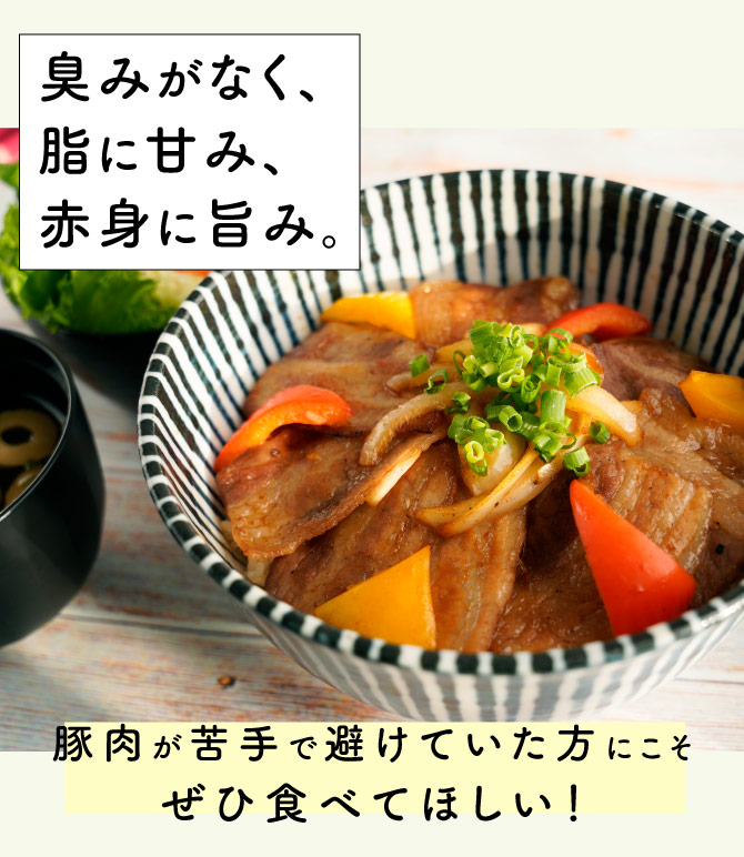 JAPAN X,ジャパンエックス,卸専門店から全国のご家庭へ！