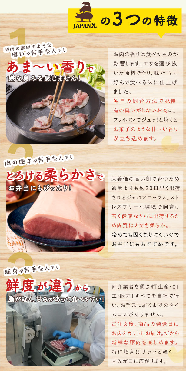 JAPAN X,ジャパンエックス,まずはお試し！2つのボリュームたっぷりなセット