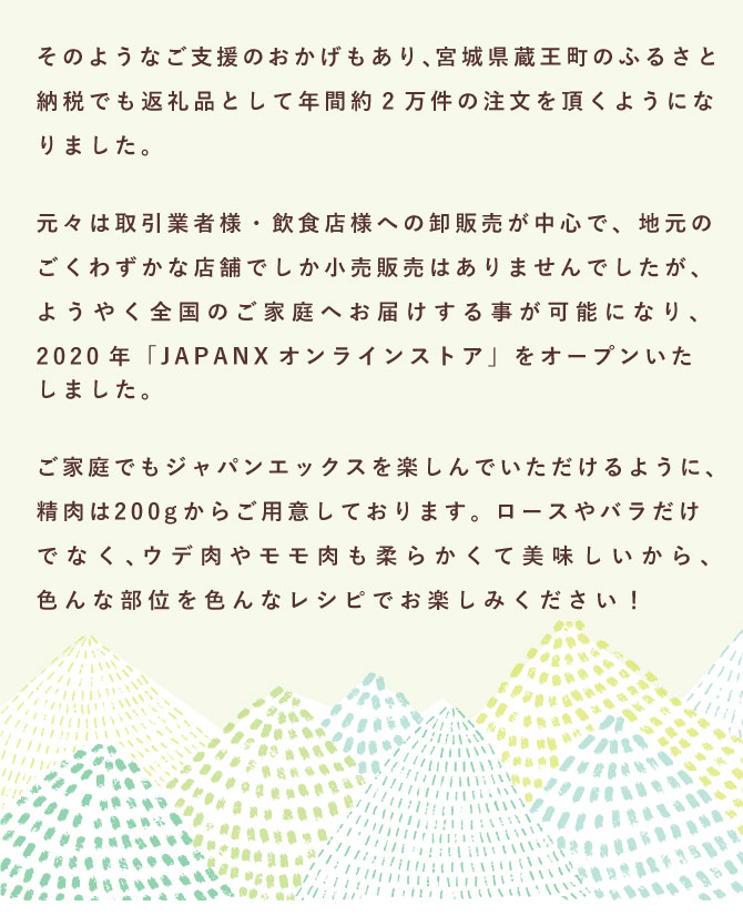 JAPAN X,ジャパンエックス,お試しセットB 精肉加工肉いろいろはこちら
