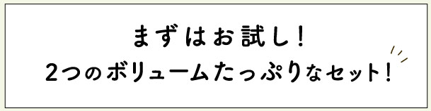 JAPAN X,ジャパンエックス,家族みんなでたっぷり楽しめるボリュームしっかりなセットです。