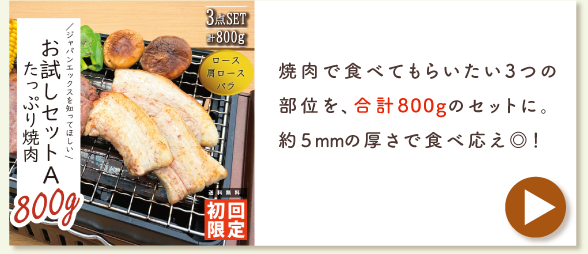 JAPAN X,ジャパンエックス,お試しセットA たっぷり焼肉はこちら